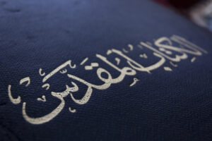 harry security risk charles coronation