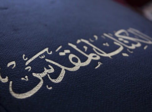 harry security risk charles coronation