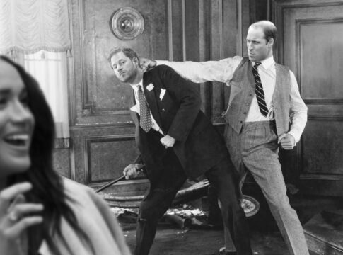 william and harry fist fight