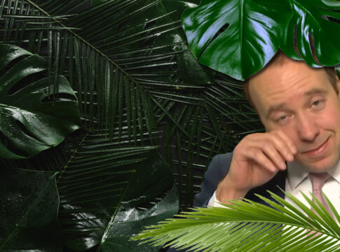 matt hancock jungle