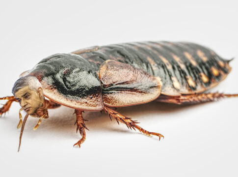 sadiq khan cockroach