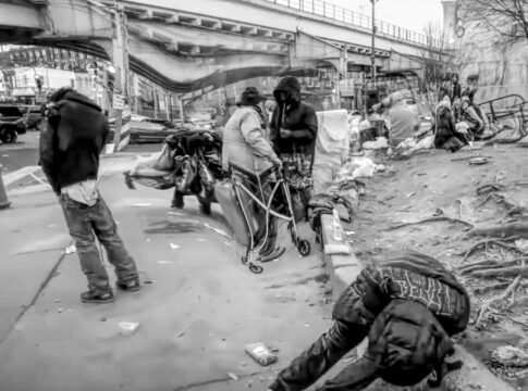 homeless bud light vp