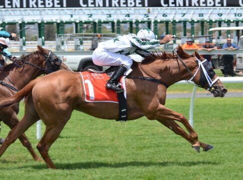 horse racing Ireland