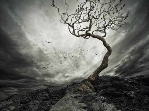 global warming globalism overpopulation