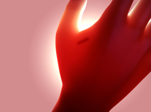 Sub dermal implanted chip