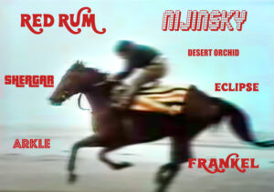 RACE HORSES UK horse racing history