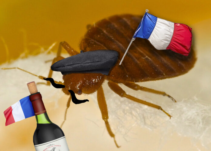 French Parisian bedbugs