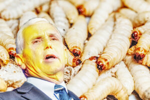 mike pence maggot farm