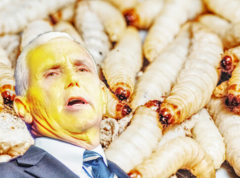 mike pence maggot farm
