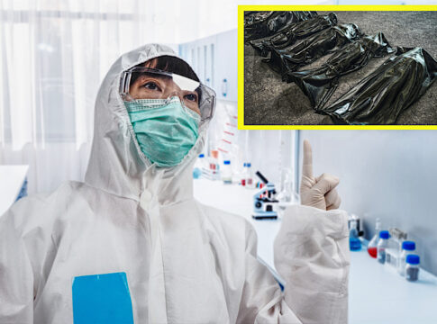 disease x next pandemic