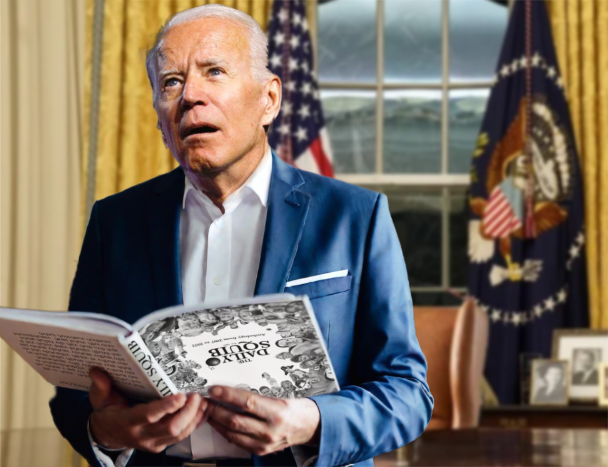 ds-biden-banner