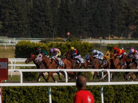 pexels-alimuart-17474536 jumps racing trainers