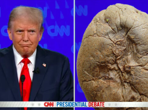 presidential debate trump potato Democrats