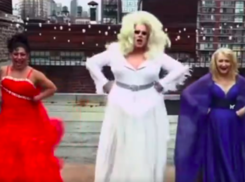 trump kamala trans lgbtqp