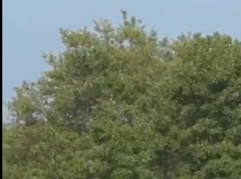 the trump shooter serious failure in security