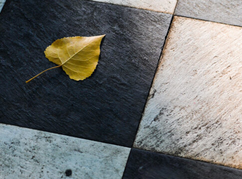 PIXABAY Tile Backer Boards