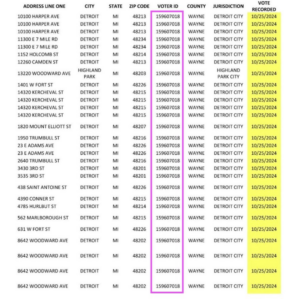 one voter voted 29 times