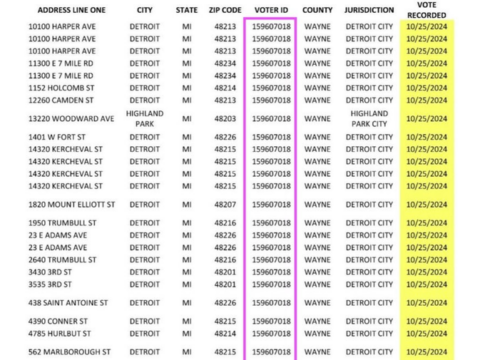 one voter voted 29 times