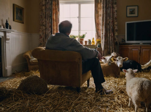 urban home farm farm in your garden