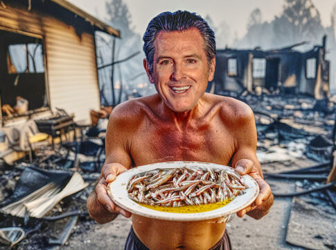 governor gavin newsom smelt fish recipe los angeles fire