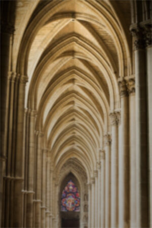 church designer vagina