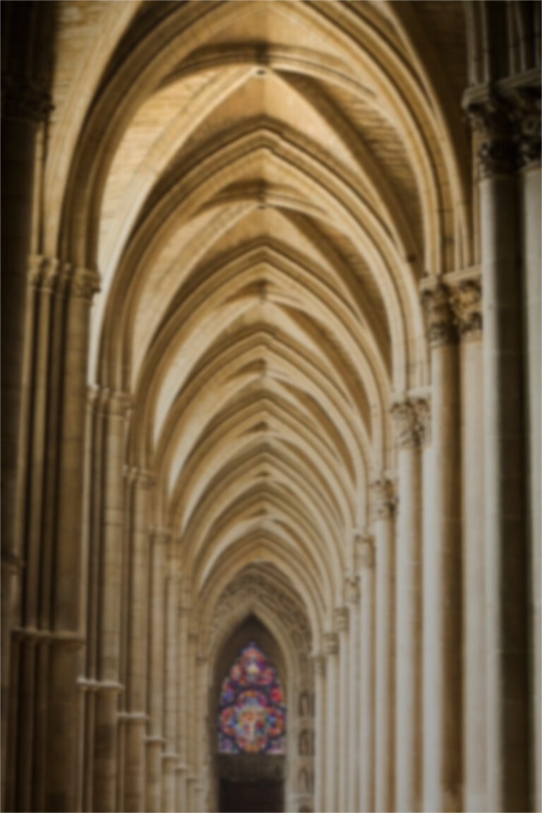 Woman With Designer Vagina Given Award For Best Vagina Design