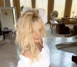 britney furniture Britney Spears