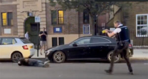 taser lunatic illegal migrant