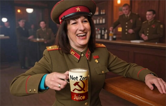 NET ZERO JUICE - THAT COOL REFRESHING DRINK