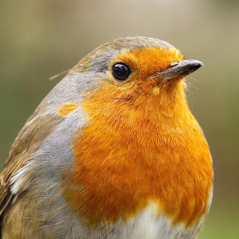 Labour is Using Excuse of “Fixing Things” For Their Soviet Agenda