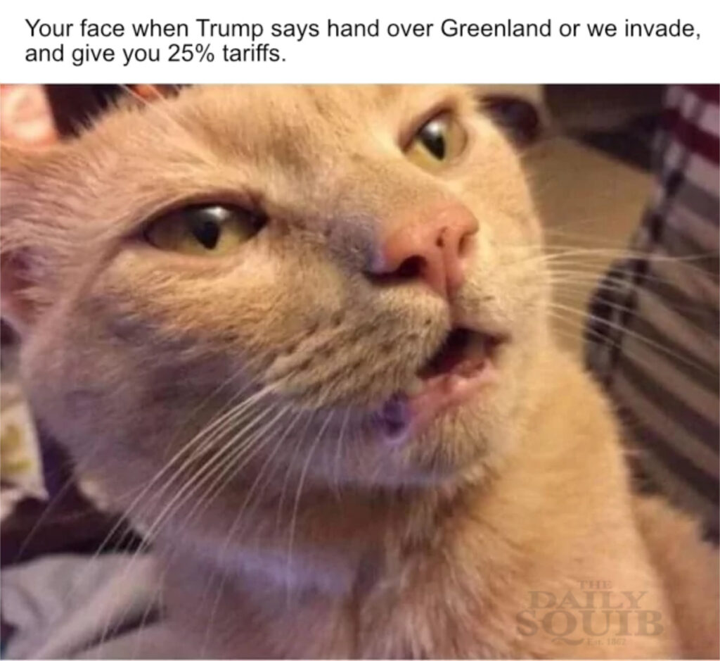 invade greenland and 25 percent