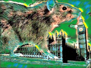 parliament rat
