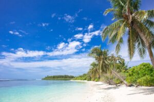 pexels-asadphoto-2548535 utopian paradise leftists