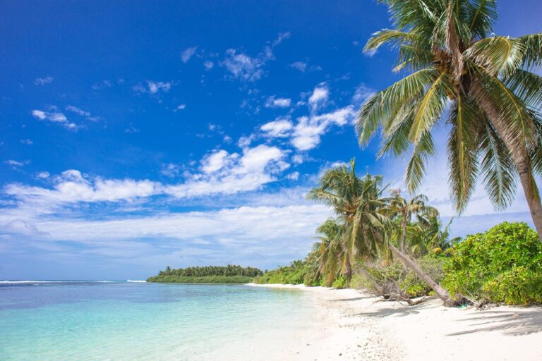 REVEALED – The Perfect Utopian Paradise For All Leftists