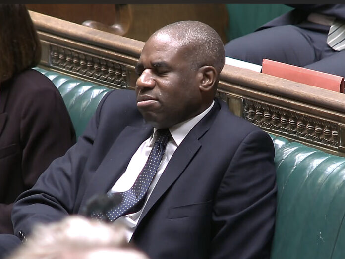 lammy mugabe sleeping jury trials