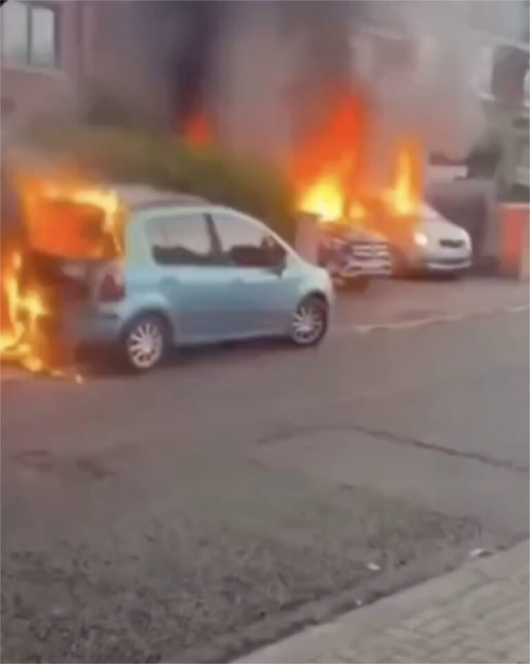 EU Engineers of Mass Third World Immigration Observe the Riots