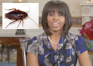 michelle obama cockroach