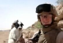 US Marine Wins Annual Iraqi Puppy Toss Contest