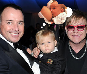 elton dailysquib